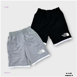 Шорты 1976422-1