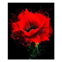 Холст с красками 30х40 см по номерам "Алый мак" (30цв.)