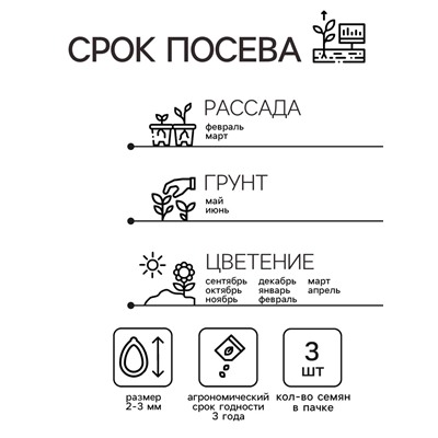 Семена комнатных цветов Цикламен "Аполлон", ц/п,  3 шт.