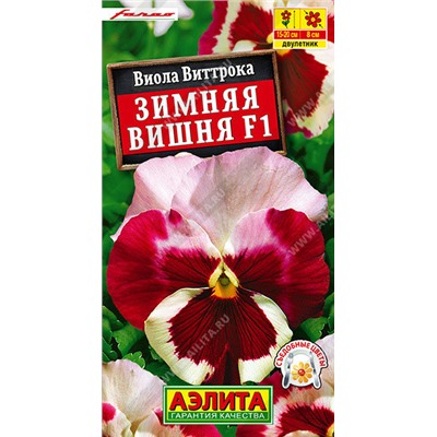 1364A Виола Зимняя вишня F1 7 шт