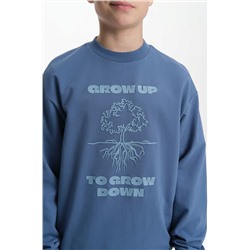 BFN3370/2 (Толстовка для мальчика, Pelican )