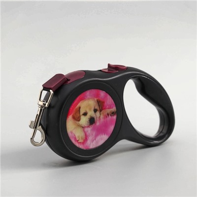 Рулетка с принтом «Милашка», 3 м, вес животного до 12 кг, чёрная