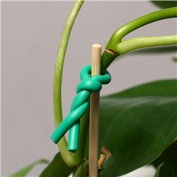 Проволока подвязочная, 5 м, d=3 мм, мягкая, Greengo