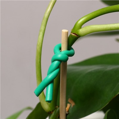 Проволока подвязочная, 5 м, d=3 мм, мягкая, Greengo