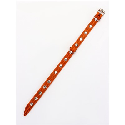 Ошейник, 29×1.2 см, ОШ 18-25 см, однослойный, украшенный, кожа, цвет МИКС