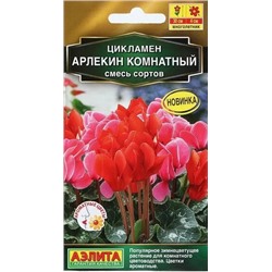 Цикламен Арлекин комнатный Аэлита