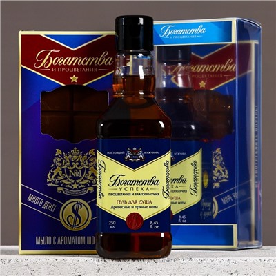 Подарочный набор «Богатства и процветания», гель для душа виски 250 мл и мыло для рук, Чистое счастье