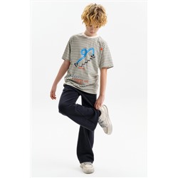 Футболка для мальчиков PELICAN, 1241605