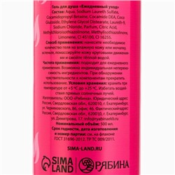 Гель для душа «Девочка-Огонь», 500 мл, аромат бабл-гама, Beauty Fox