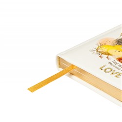 Ежедневник недатированный А6+ 240 стр. "Любовь, как она есть" 3-745/15 Bruno Visconti