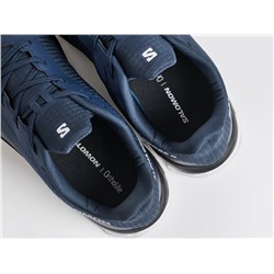 Кроссовки Salomon Alphacross 5 GTX