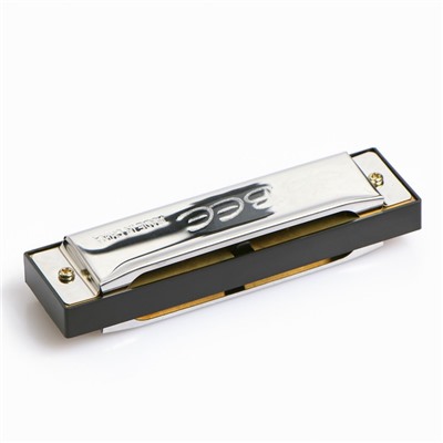 Губная гармошка, диатоническая, 10 отверстий, c-major, с футляром, серебристая