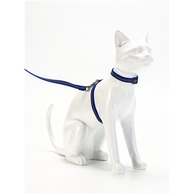 Комплект для кошек, шлейка 21-35 см, ширина 1 см, поводок 120 см, светоотражающий, синий