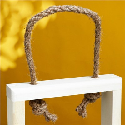 Подарочный ящик «Рамка», 46×15×4 см, деревянный, 3 колбы, ручка - верёвка