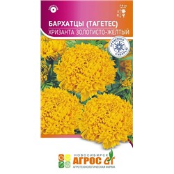 Бархатцы Хризанта золотисто-желтый (Код: 93667)