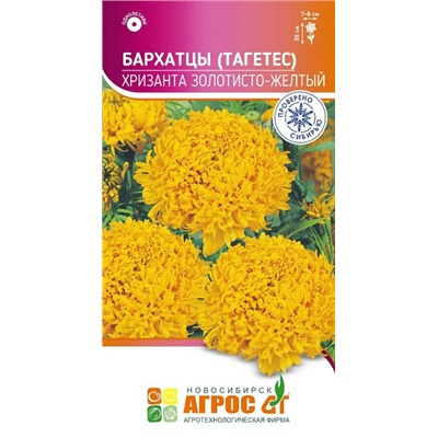 Бархатцы Хризанта золотисто-желтый (Код: 93667)