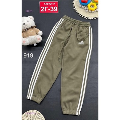 штаны с начесом 2053655-4