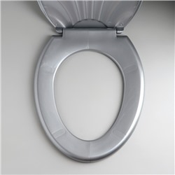 Сиденье для унитаза «Ракушка», 44.5×37 см, с крышкой, серебристый перламутр