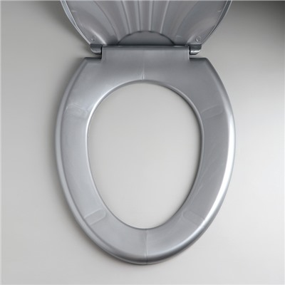 Сиденье для унитаза «Ракушка», 44.5×37 см, с крышкой, серебристый перламутр