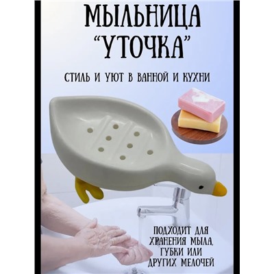 Мыльница #22985528