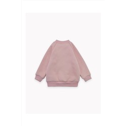 Толстовка футер начёс Cat 10902