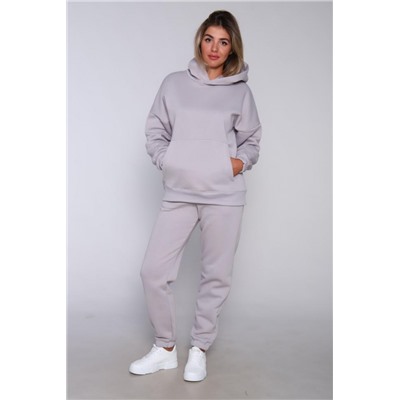 ТК 351 Костюм спортивный теплый (Серый)