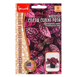 Семена цветов Гипоэстес Сплэш Селект Роза (Splash Select Rose) (PanAmerican Seed) 4шт.  12.29 г. 109