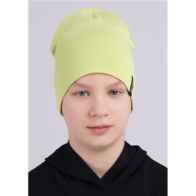 CLEVER Шапка