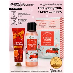 Новогодний подарочный набор косметики «С Новым годом», гель для душа 100 мл и крем для рук 30 мл, Чистое счастье