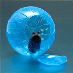 Шар для грызунов «Пижон», 12 см, синий