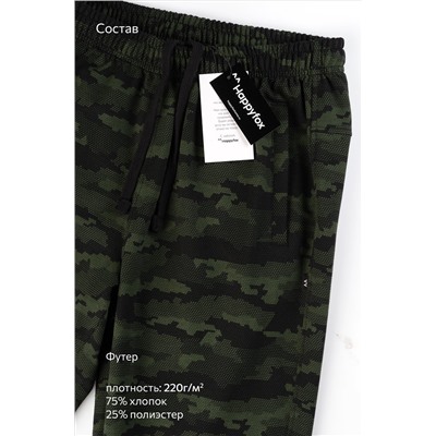 Мужские брюки из футера двухнитки Happyfox