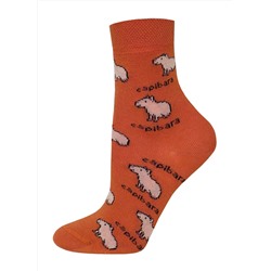 БРЕСТСКИЕ Носки 3081 SCHOOL (рисунок)