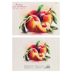 Альбом для рисования 32л "ПЕРСИКИ НА СТОЛЕ" отрывная склейка 32-3934 Проф-Пресс