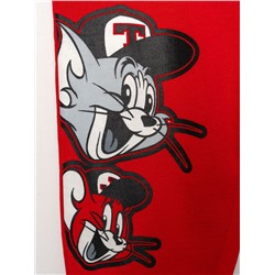 Комплект детский трикотажный для мальчиков: толстовка, брюки