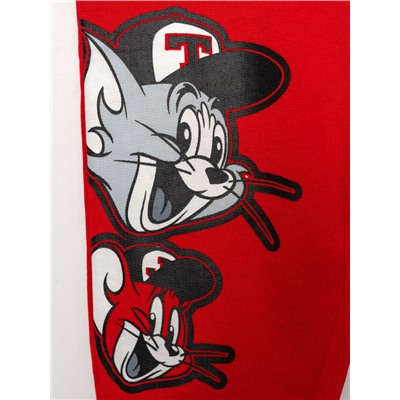 Комплект детский трикотажный для мальчиков: толстовка, брюки