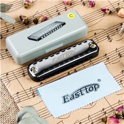 Губная гармошка Music Life T10-1 C BLACK диатоническая, 10 отверстий, с футляром