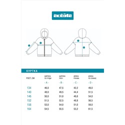 Куртка ACOOLA, 1241097