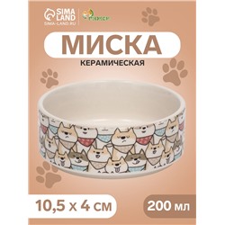 Миска керамическая «Хаски» 200 мл - 10.5×10.5×4 см, бежевая/серая