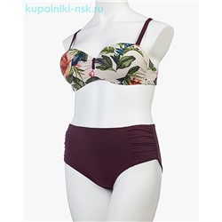 504 C Купальник раздельный (50-58)