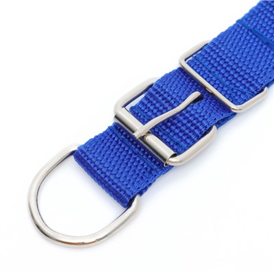 Ошейник «Комфорт» комбинированный (полиэстер, искусственная кожа), 55×2.5 см, ОШ 40-50 см, синий 6