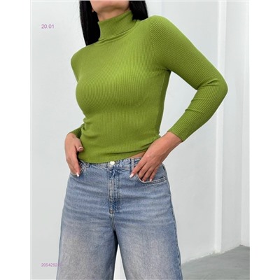 Водолазка 2054292-8