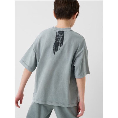 Фуфайка трикотажная для мальчиков (футболка)