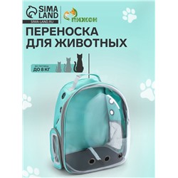 Рюкзак для переноски животных, 31×28×42 см, прозрачный, бирюзовый