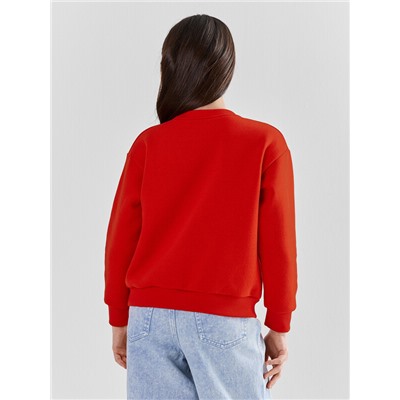 СВИТШОТ ДЛЯ ДЕВОЧЕК 127881/1