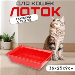 Туалет глубокий с сеткой 36×25×9 см, красный