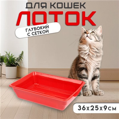 Туалет глубокий с сеткой 36×25×9 см, красный