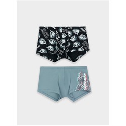 ТРУСЫ МУЖСКИЕ (2ШТ) 411216-2