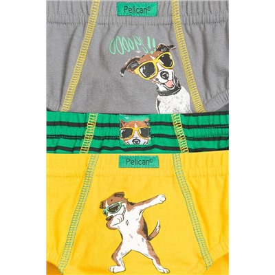 Трусы 3 шт. PELICAN, 227330