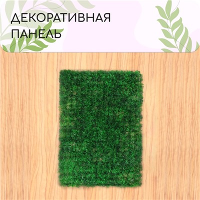 Декоративная панель, 60×40 см, «Аспарагус», Greengo