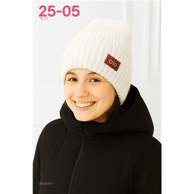 шапка 2053070-1